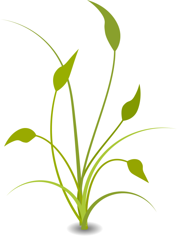 Abstract Green Plant Graphic PNG