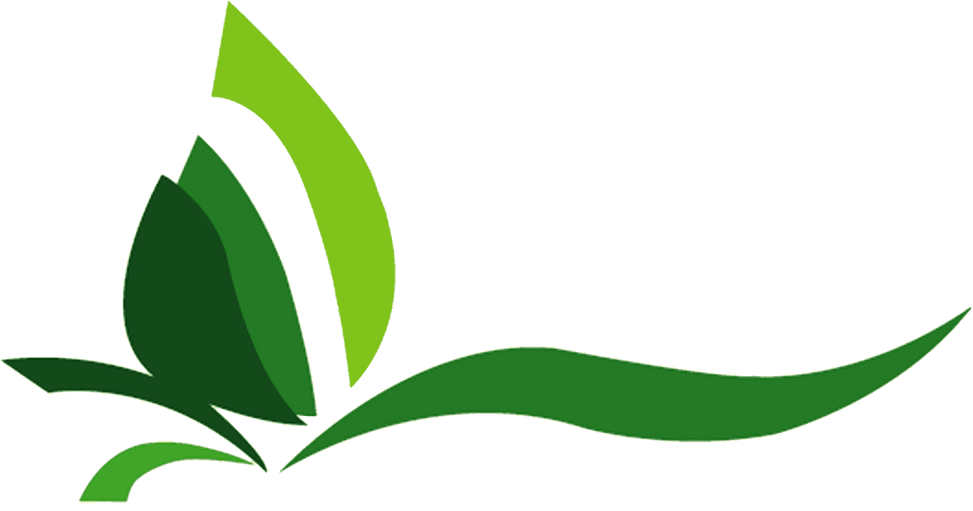 Abstract Green Plant Graphic PNG