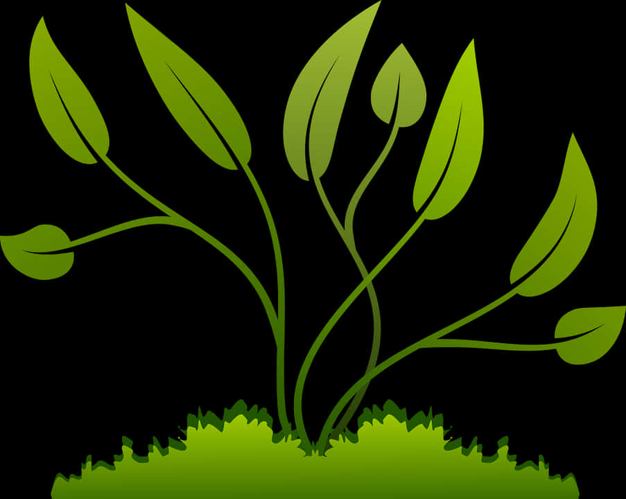 Abstract Green Plant Illustration PNG
