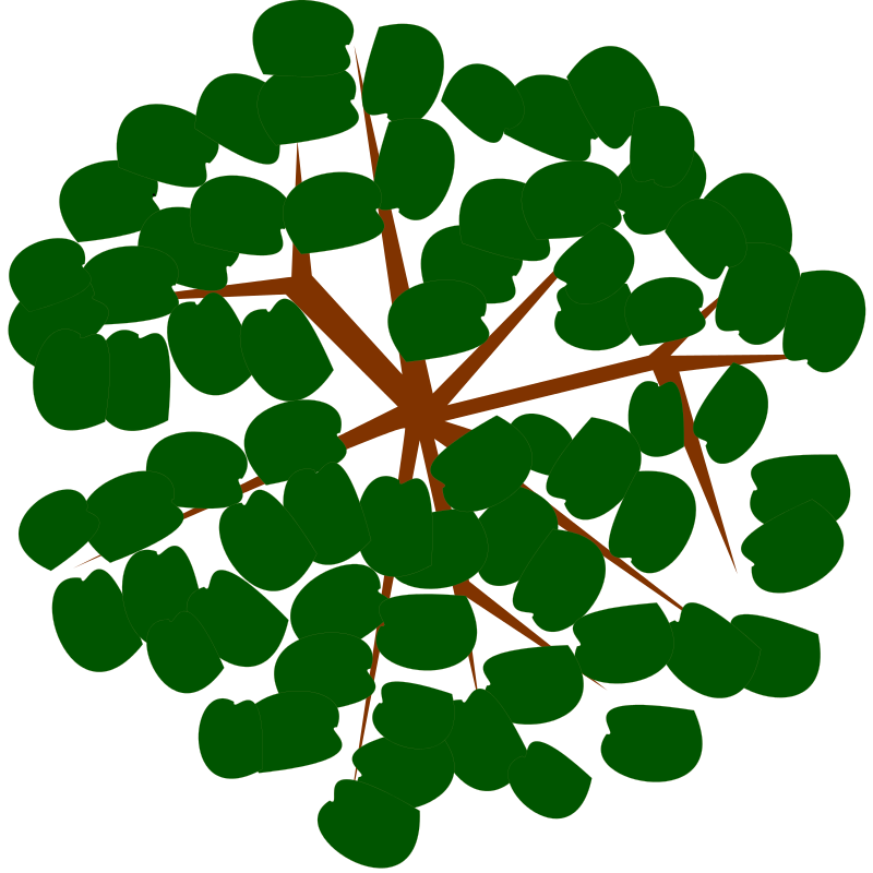 Abstract Green Tree Top View PNG