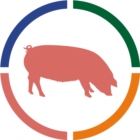 Abstract Hippo Color Wheel Graphic PNG