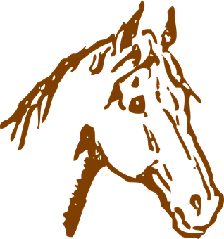 Abstract Horse Profile Art PNG