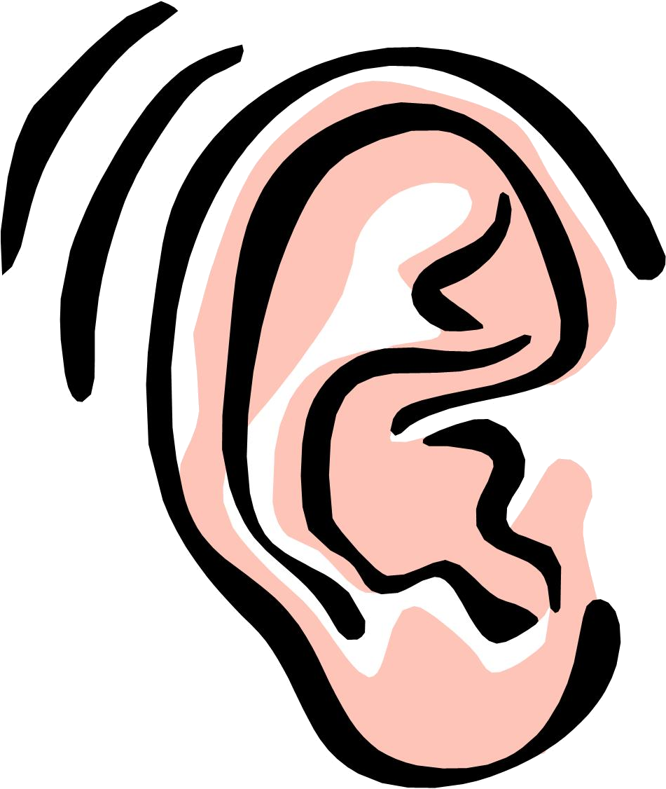 Abstract Human Ear Illustration PNG