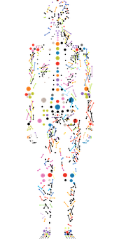 Abstract Human Figure Composedof Colored Dotsand Lines PNG