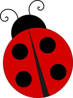 Abstract Ladybug Graphic PNG