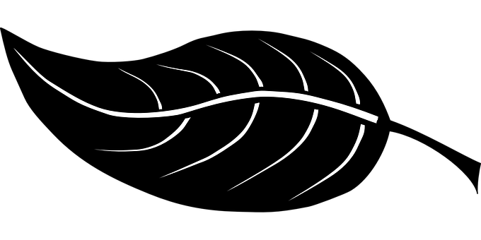 Abstract Leaf Design Black Background PNG