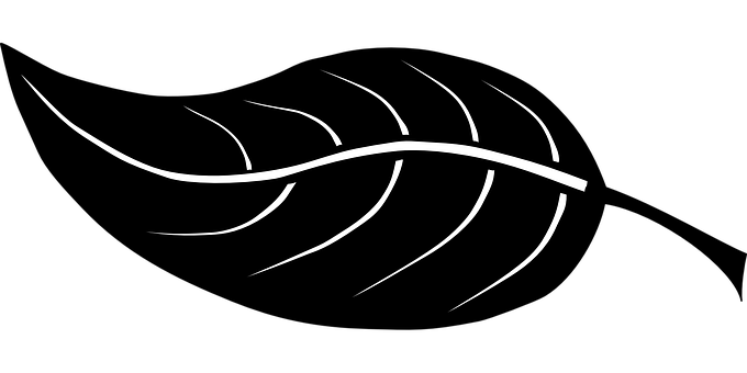 Abstract Leaf Design Blackand White PNG