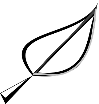 Abstract Leaf Graphic Blackand White PNG