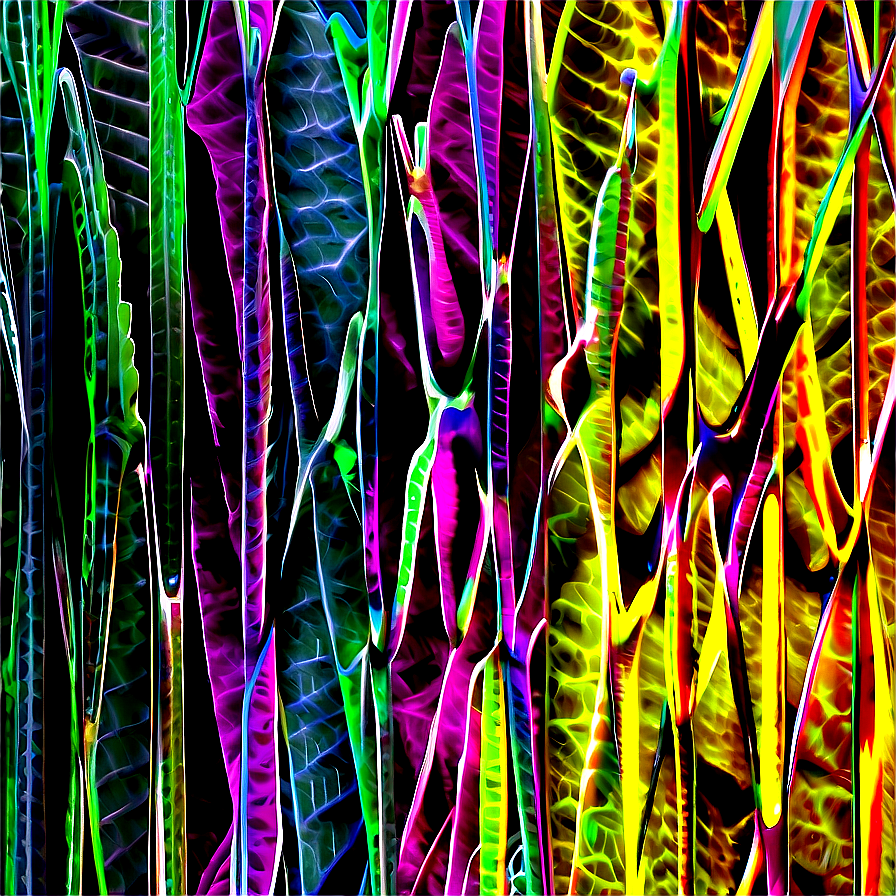 Abstract Lines In Nature Png Dio95 PNG