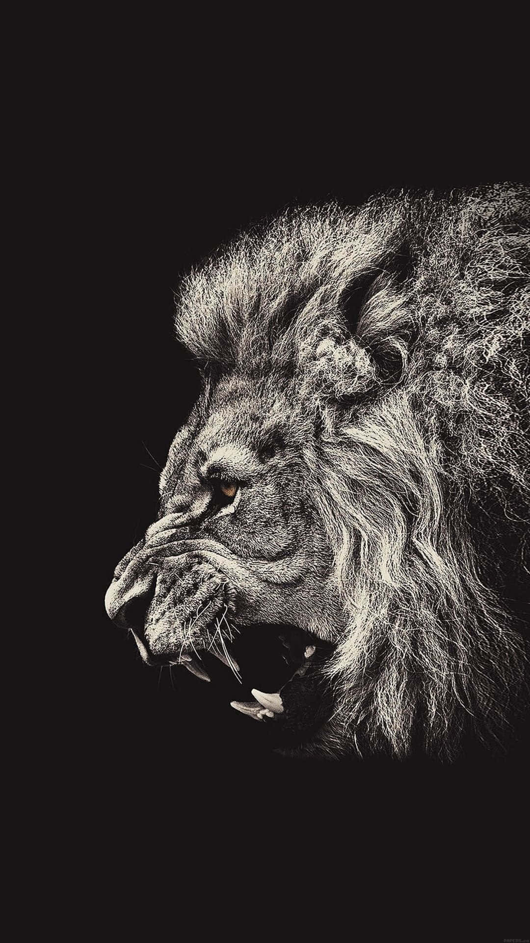 An Abstract Lion Roars into the Night Wallpaper