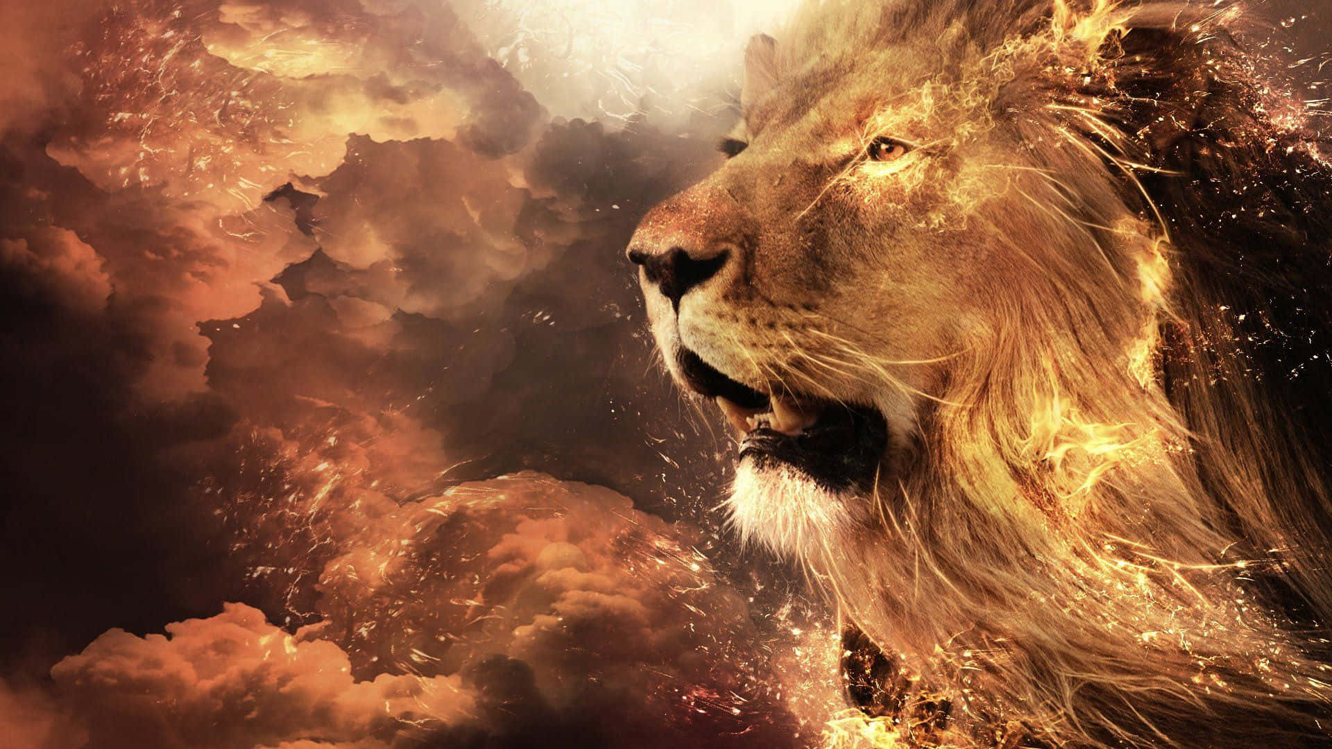 A majestic and beautiful Abstract Lion Wallpaper
