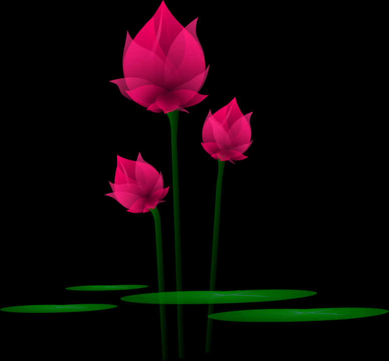 Abstract Lotus Flowerson Black Background PNG