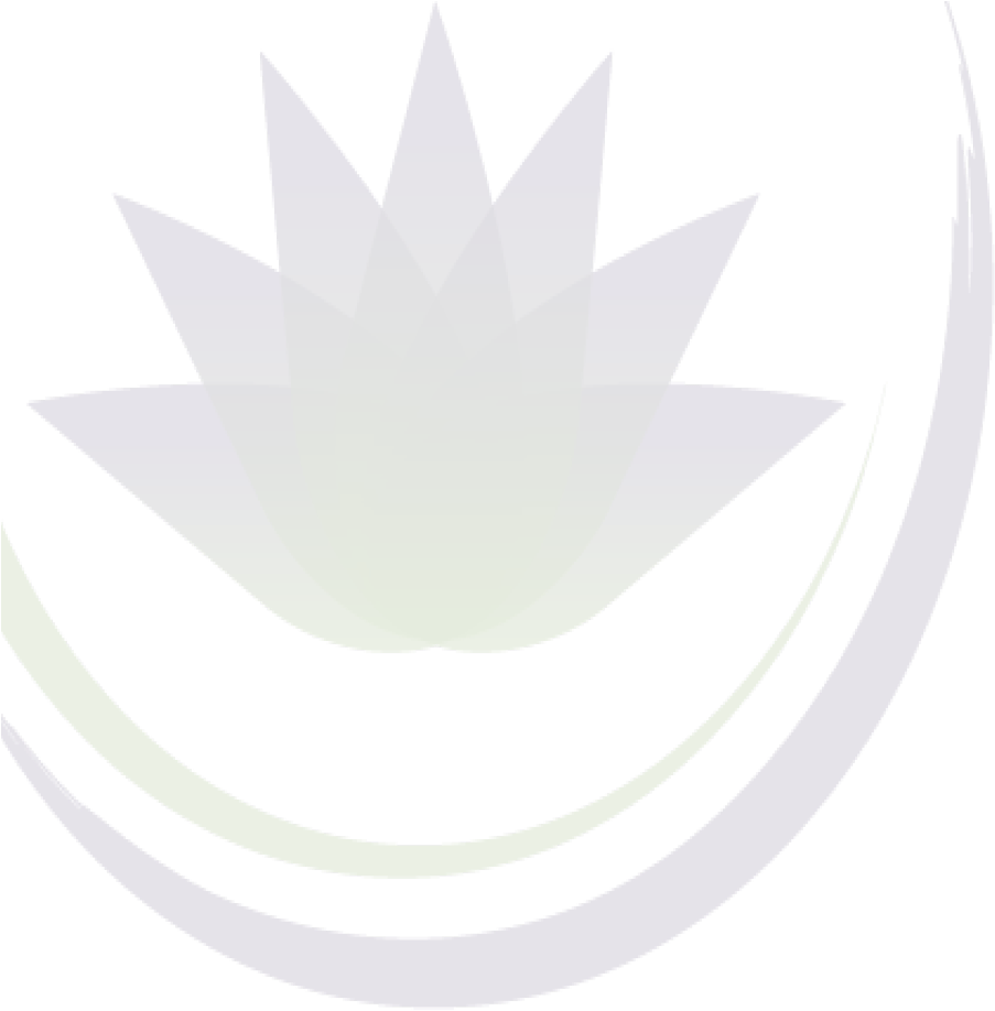 Abstract Lotus Graphic PNG