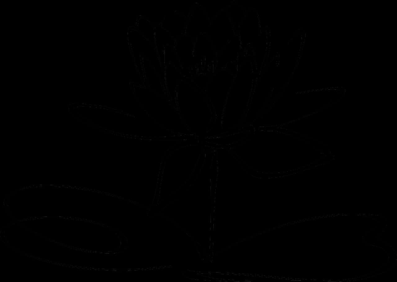 Abstract Lotus Outline Dark Background PNG