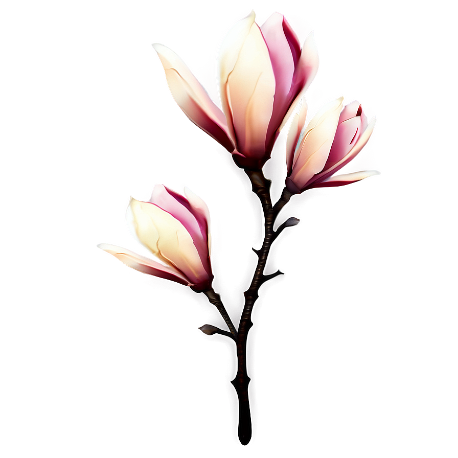 Abstract Magnolia Flower Artwork Png Jxs59 PNG