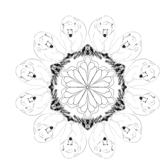 Abstract Mandala Design Dark Background PNG