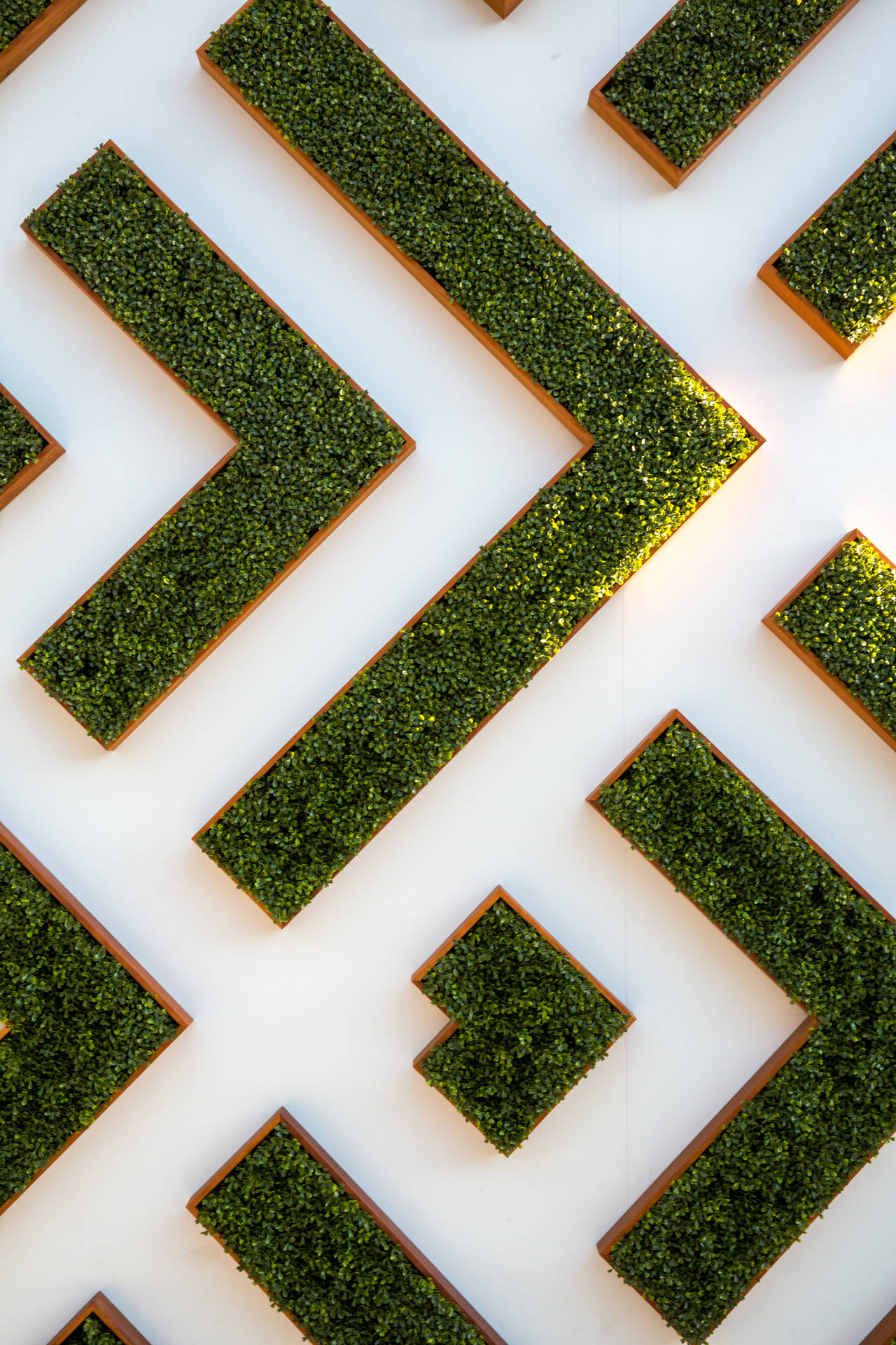 Abstract Maze Garden