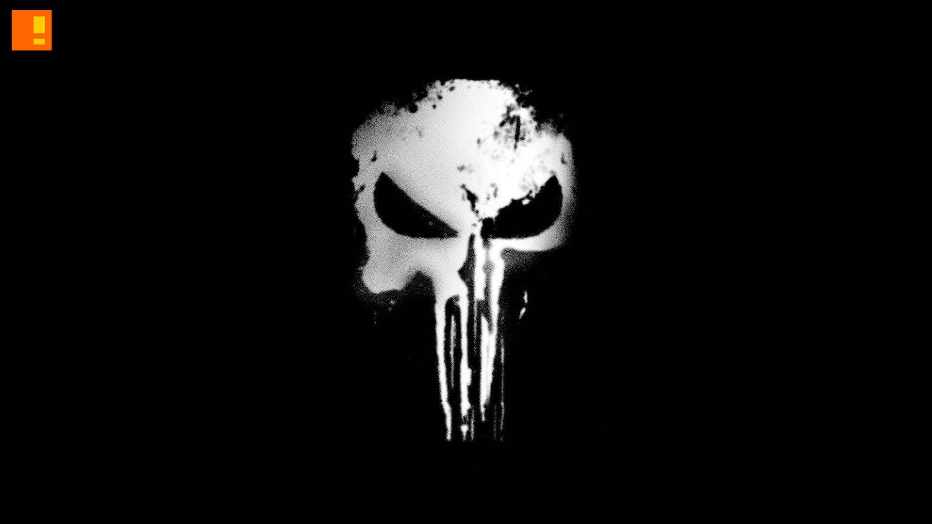 Image  Punisher Skull Logo Wallpaper