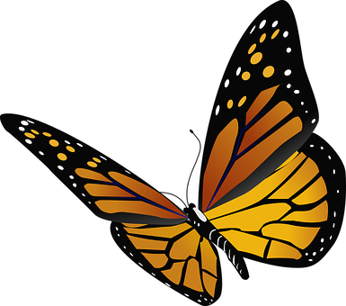 Download Abstract Monarch Butterfly Vector | Wallpapers.com