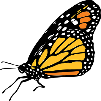 Download Abstract Monarch Butterfly Wing Art | Wallpapers.com