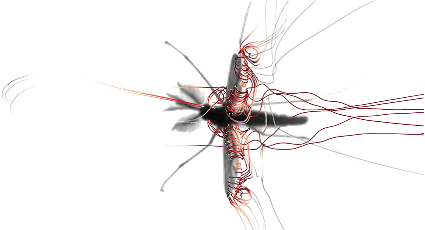 Abstract Mosquito Artwork PNG