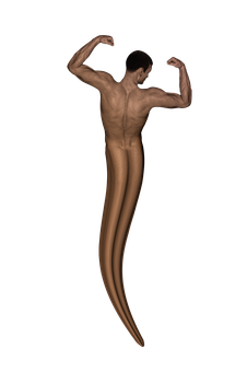 Abstract Muscular Figure Flexing PNG