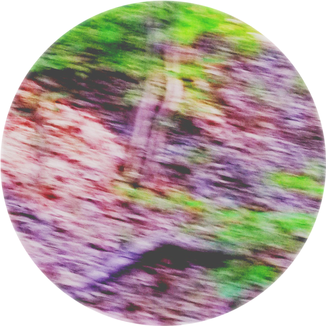 Abstract Nature Blur Circle.jpg PNG