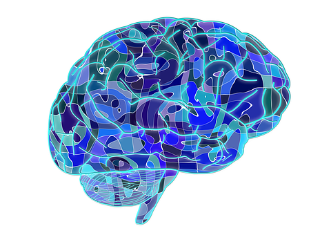 Abstract Neural Network Brain Illustration PNG