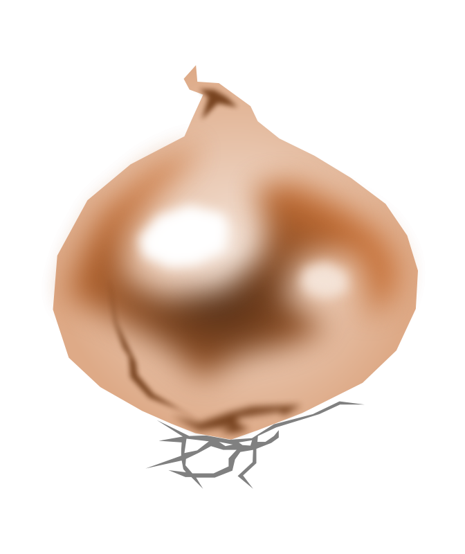 Abstract Onion Illustration PNG