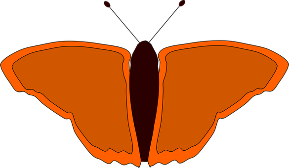 Abstract Orange Butterfly Silhouette PNG