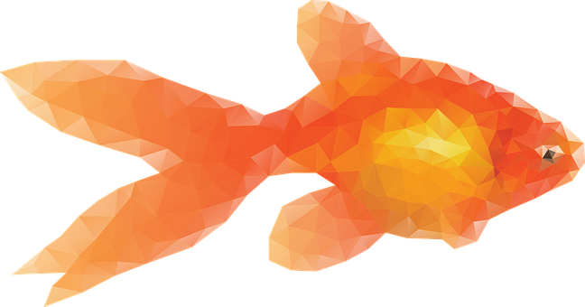 Abstract Orange Goldfish Artwork PNG