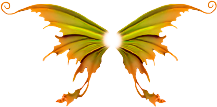 Abstract Orange Green Wings Artwork PNG