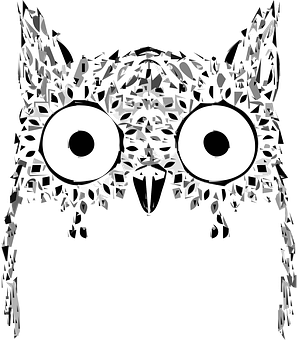 Abstract Owl Artwork PNG
