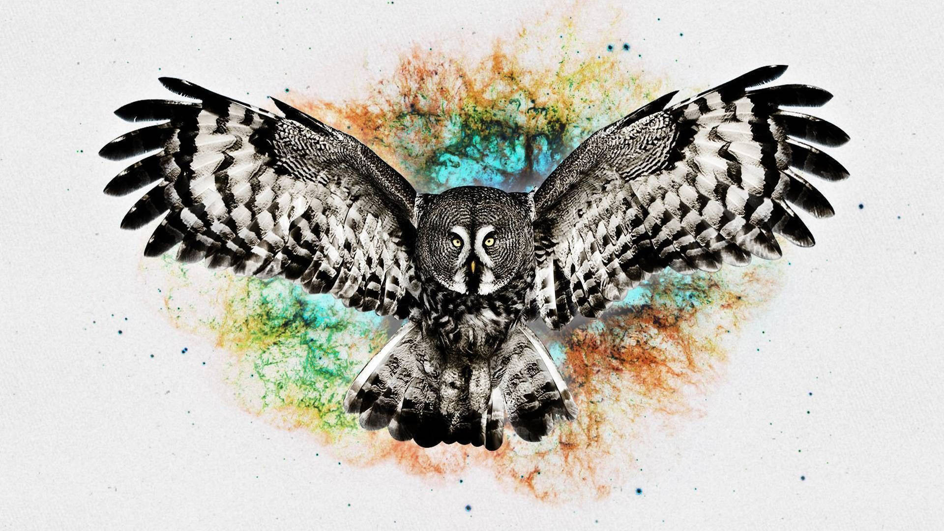 Abstract Painted Cute Owl Wallpaper