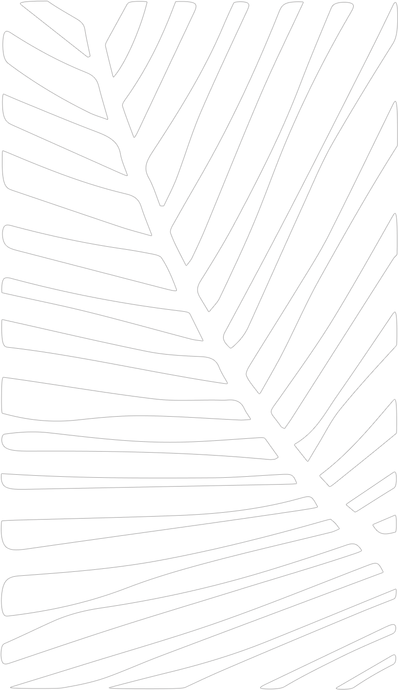 Abstract Palm Frond Artwork PNG