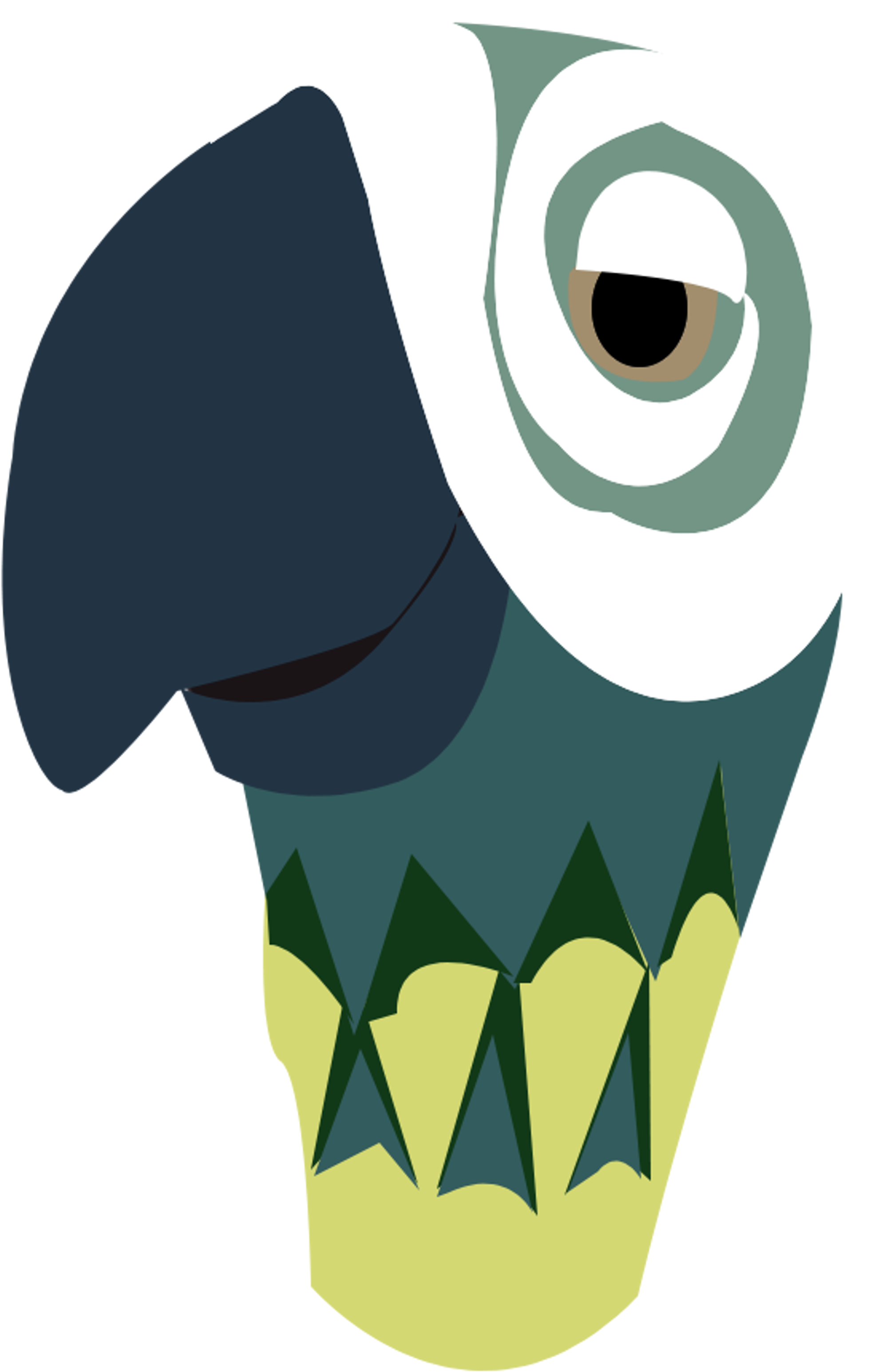 Abstract Parrot Portrait PNG