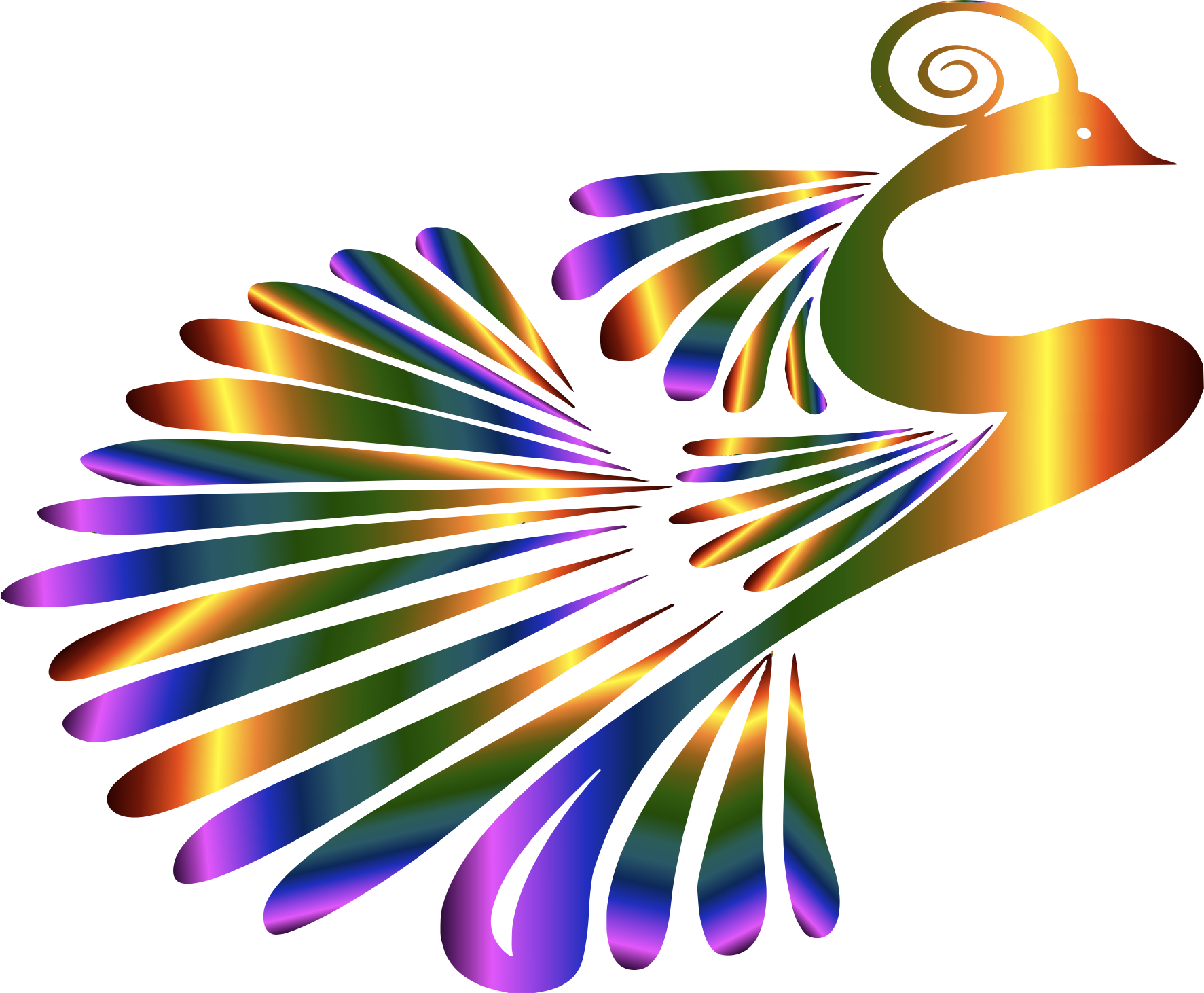 Abstract Peacock Artwork PNG