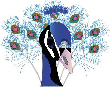Abstract Peacock Illustration PNG