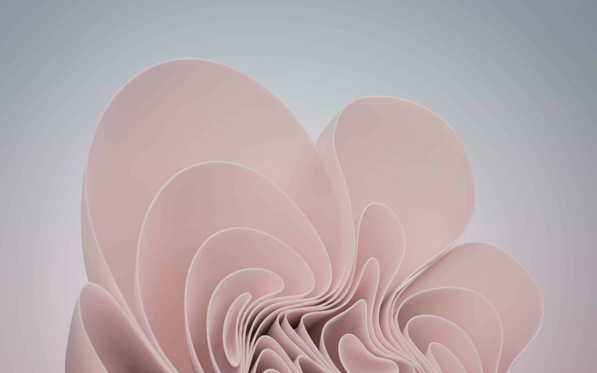 Abstract_ Pink_ Curves_ Background Wallpaper