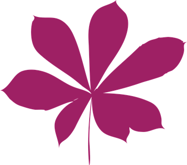 Abstract Pink Leaf Design PNG