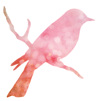 Abstract Pink Watercolor Bird Silhouette PNG