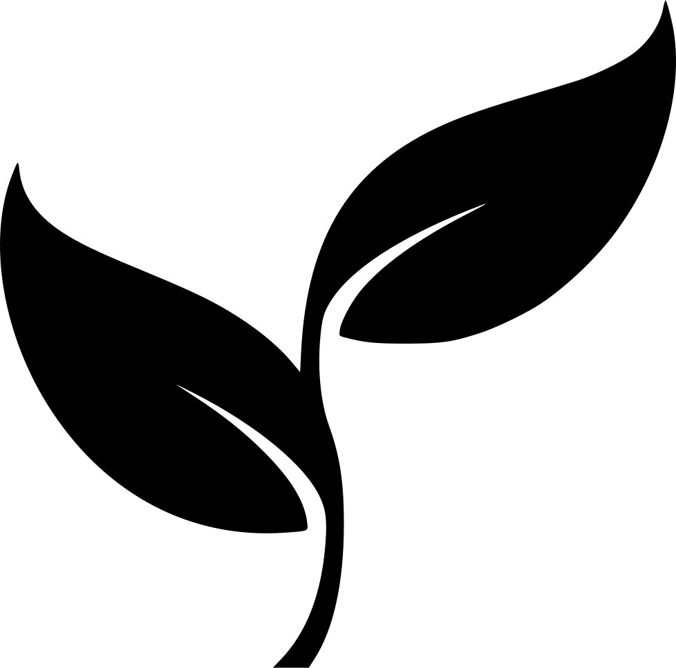 Abstract Plant Silhouette PNG