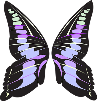 Abstract Purple Butterfly Wings PNG