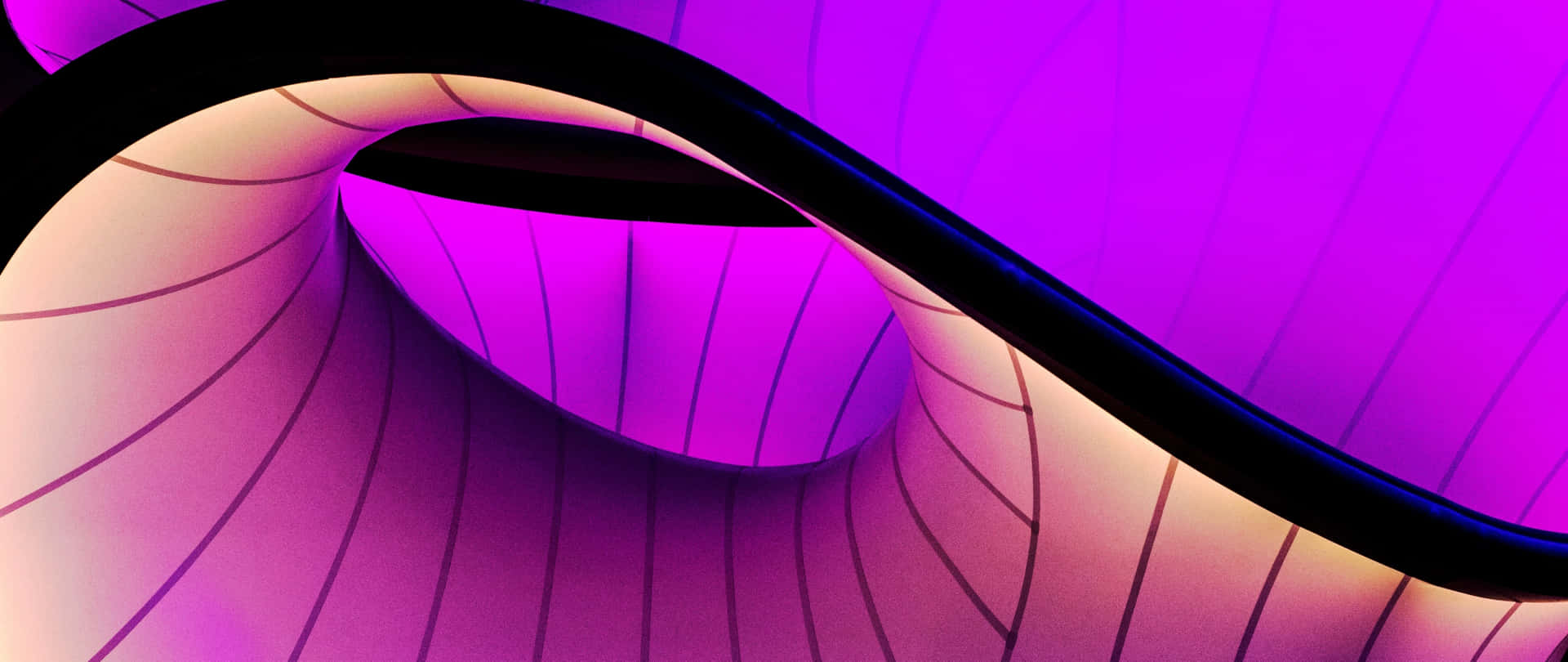 Abstract_ Purple_ Curves_ Background Wallpaper