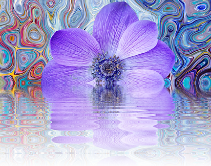 Abstract Purple Flower Reflection PNG