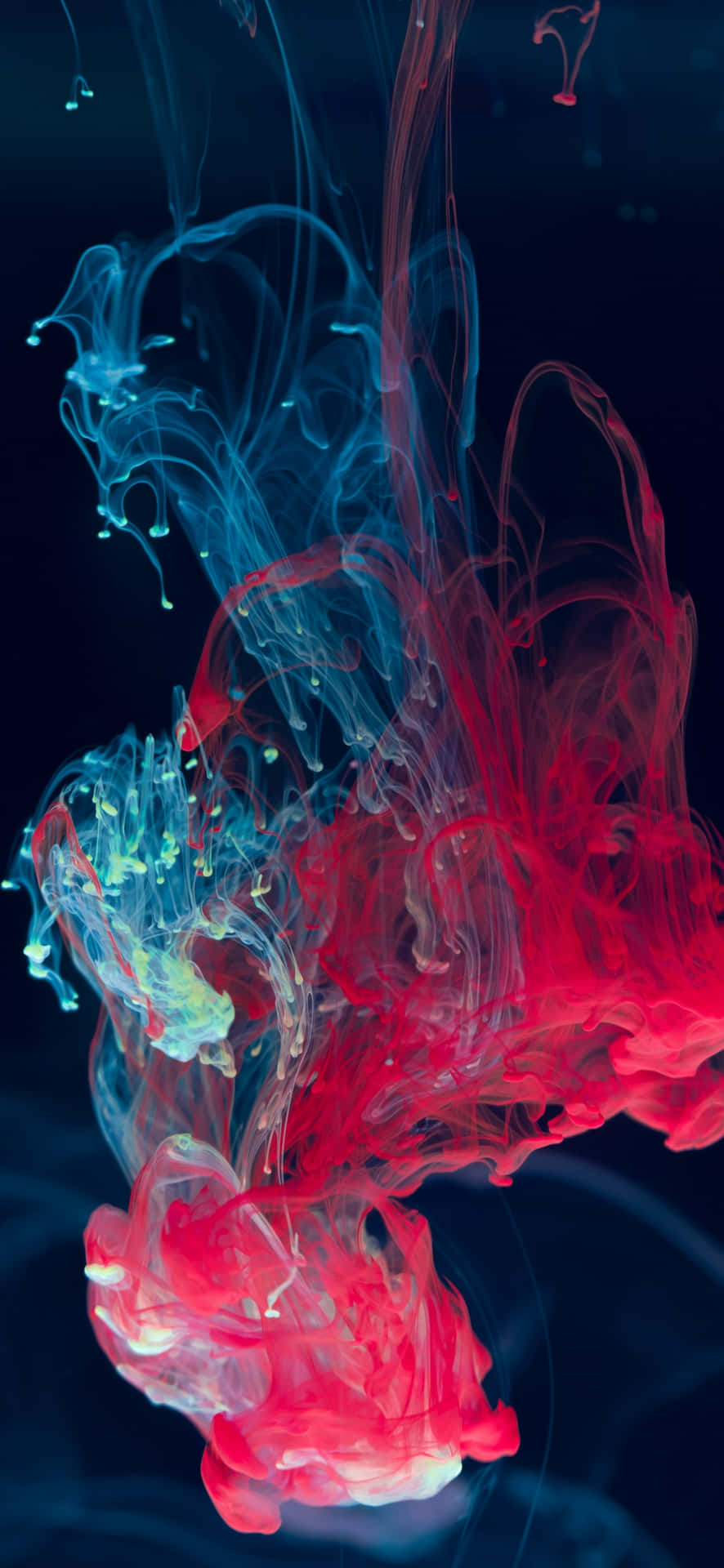 Abstract Red Blue Ink Diffusion Art Wallpaper