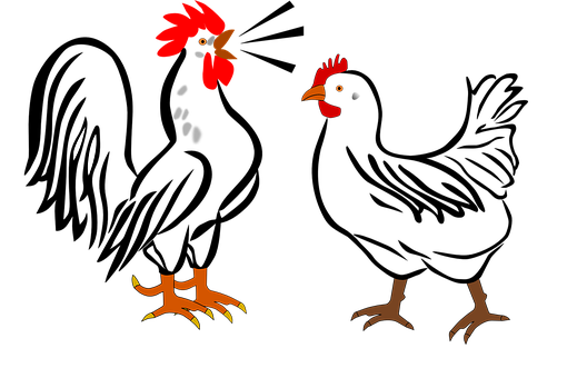 Abstract Rooster Parts Illustration PNG