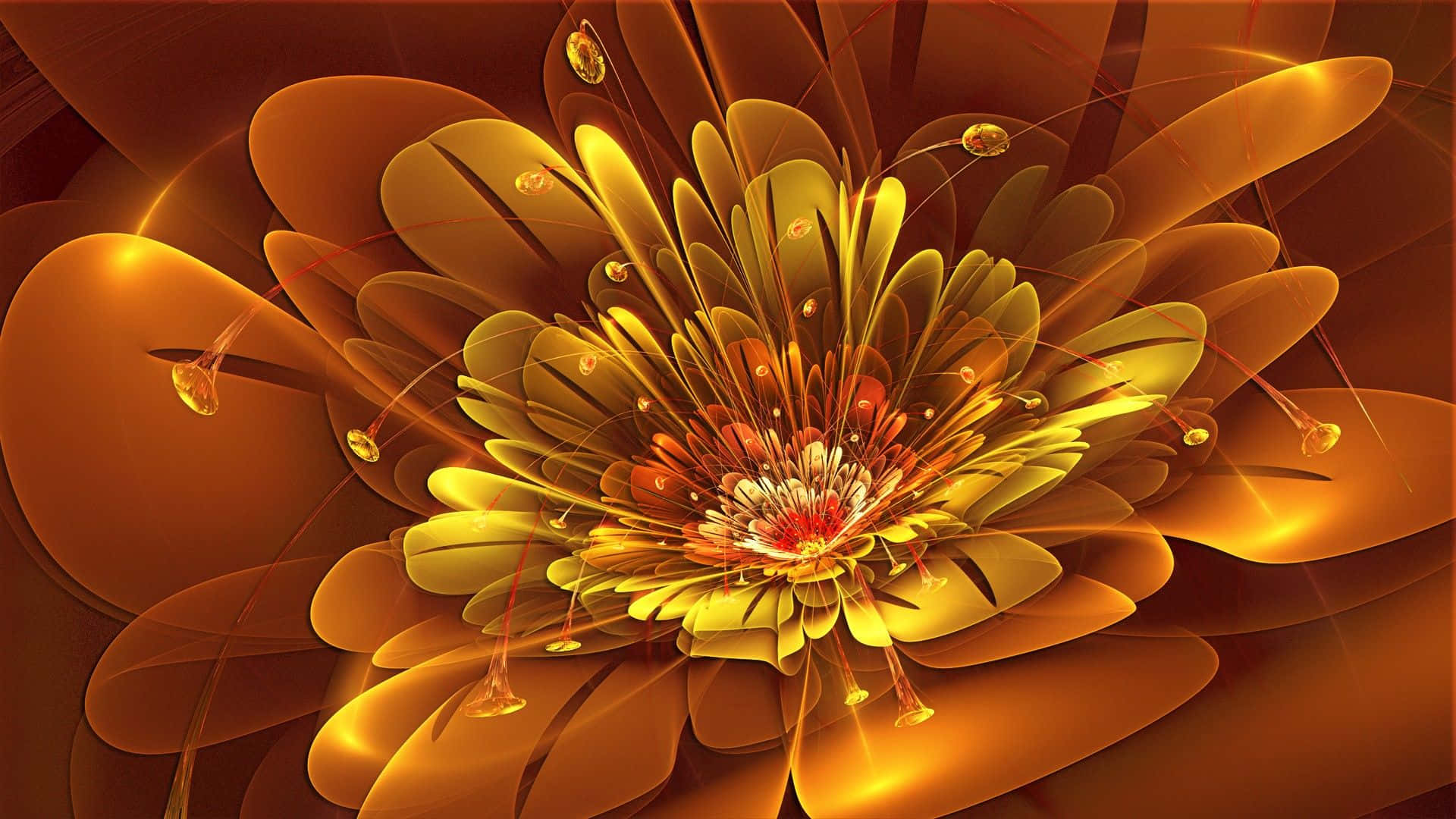 "abstract Rose Bursting With Color" Wallpaper