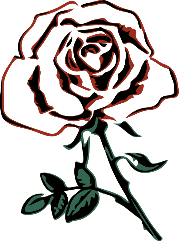 Abstract Rose Line Art PNG