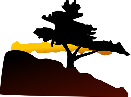 Abstract Savanna Sunset Silhouette PNG